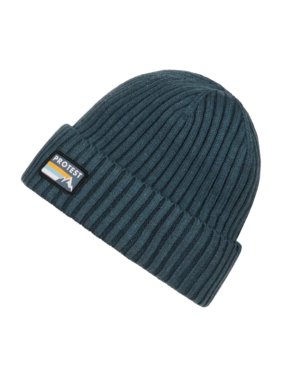Protest Worsley Beanie